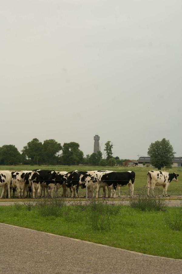 De Goudmijn Vila Diksmuide Exterior foto