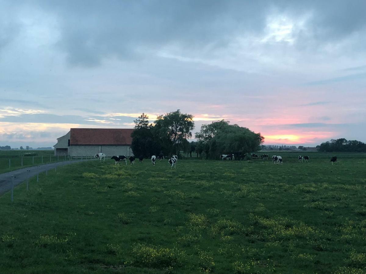 De Goudmijn Vila Diksmuide Exterior foto